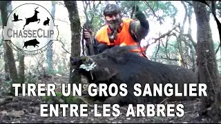Tir d'un gros sanglier entre les arbres