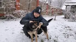 Графу год. (Взяли щеночка из приюта).