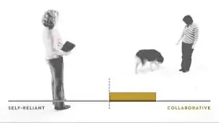 Dognition Sample Game: Arm Pointing