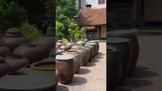 Duong Lam Ancient Village: A Step Back in Time  #gadttravel #explorevietnam #travel #viral