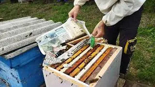 "Смотрим результат объединения семей через газету"