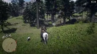 Red Dead Redemption 2 - Best way to kill a turkey: with your head