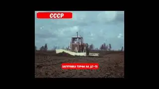 🔆Заготовка торфа(Дт-175 с валкователем и фрезой)#1