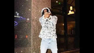 [FREE] Polo G Type Beat 2026 ''Pain & Profit''
