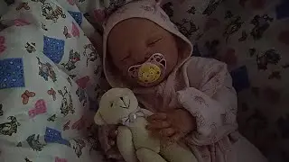 Вечер с реборном Миленой / Evening with reborn Milena