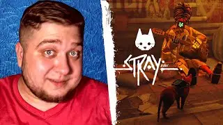 НАШЕЛ МУЗЫКАНТА - Stray #6