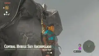 Zelda Tears of the Kingdom Tears Large Zonaite Location Central Hyrule Sky Archipelago Falling Rocks