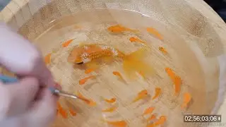 Resin fish painting sped up 10,000%!