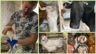 РУГАЮ СЕБЯ, ЧТО НЕ НАЧАЛ ДЕЛАТЬ РАНЬШЕ