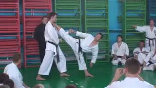 Kagawa sensei. Keri-waza demo 2008.