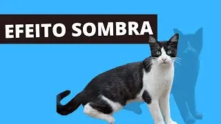 Como Fazer Efeito Sombra Nas Imagens com o Canva