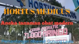 INDAHNYA HORTUS MEDICUS TAWANGMANGU DENGAN ANEKA TANAMAN OBAT - OBATAN, JAMU MODERN & TANAMAN UNIK.
