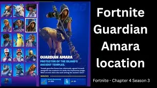 Where Guardian Amara is on the island - Fortnite Chapter 4 Character Location #6