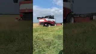 #2024 #agriculture #farming #agriculturalsystem #сезон #across #acros550