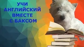 Вторая четверть грамматики