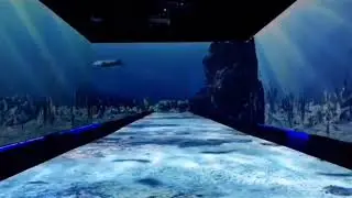 Dinner in Motion - Underwater Scene Experience
