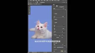 how to cut out cat with fur in photoshop