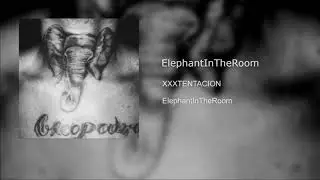 ElephantInTheRoom