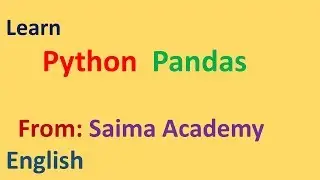 Python Pandas Read Excel File: English