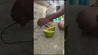 Experimento pilha caseira
