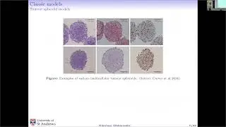 The Mathematical Hallmarks of Cancer: Yesterday, Today, and Tomorrow