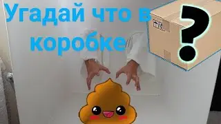 Челлендж - Угадай что в коробке | Challenge