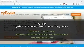 zyLabs - Quick Introduction: How They Work