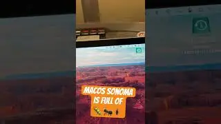 macOS Sonoma is the buggiest macOS ever!!