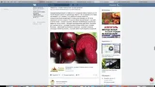 Вебинар ПравоведъСибирь № 9