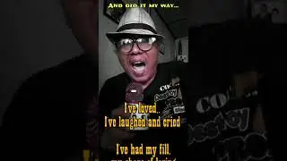My Way by Frank Sinatra (cover )