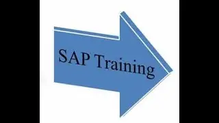 SAP GTS Video Training