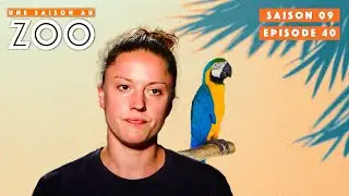 Marion continue sa formation au Zoo ! | S09EP40 | Émission Intégrale | Une Saison Au Zoo