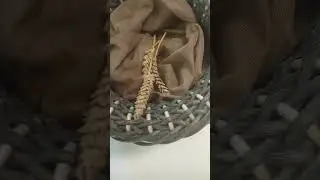Горшочек счастья 