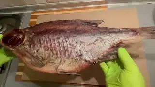 Как выглядит мега лещ