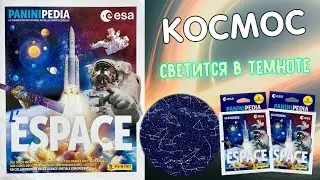 PANINI Альбом для наклеек Paninipedia Space (Космос) Почти энциклопедия!