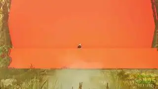 PhaseOne Couchlands 2020 Livestream