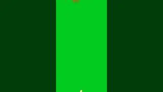 Boom Green screen video||Green screen video 