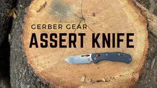 Gerber Assert Knife: My Thoughts After 60 Days