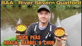 River Severn Fishing with Air Fried Chick Peas (Turmeric & Curry Flavour) Roach, Barbel & Chub 🤫🤫😉