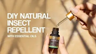 DIY NATURAL INSECT REPELLENT