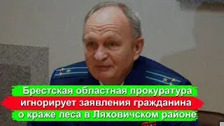 Брестская прокуратура игнорирует заявления гражданина о краже леса