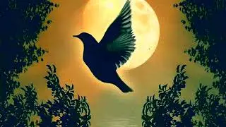 Lao song.ເພງລາວ ຍັງຫ່ວງຫາ ໂດຍ ລຳພູນ