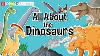 All About the Dinosaurs