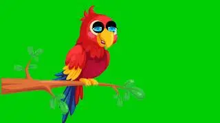 Parrot green screen animation|Editer G