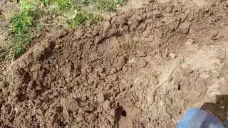 Plantando Milho 10,51. Para o mês de junho.