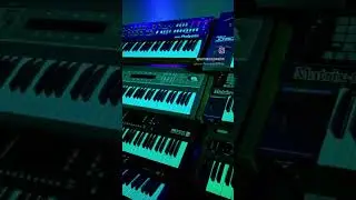 just one moar synth... just one moar