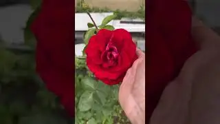 Прилетело откуда не ждали 