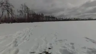 Озеро Пошкольяр. республика Марий Эл. Окунь