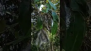 I found this near the river