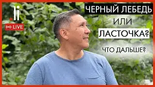 Чёрный лебедь или ласточка? Что дальше? Эфир с Нурланом Мураткали